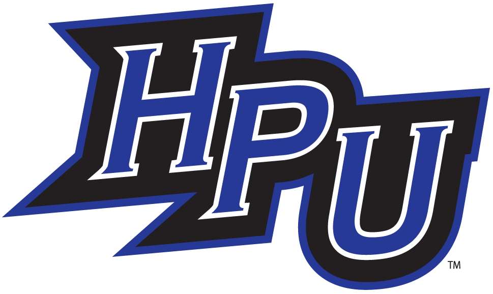 High Point Panthers 2004-2011 Alternate Logo v4 iron on transfers for fabric